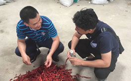 匡老五辣業(yè) 再迎武漢客戶實(shí)地考察